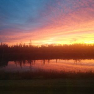 Meet your Posher, Fall